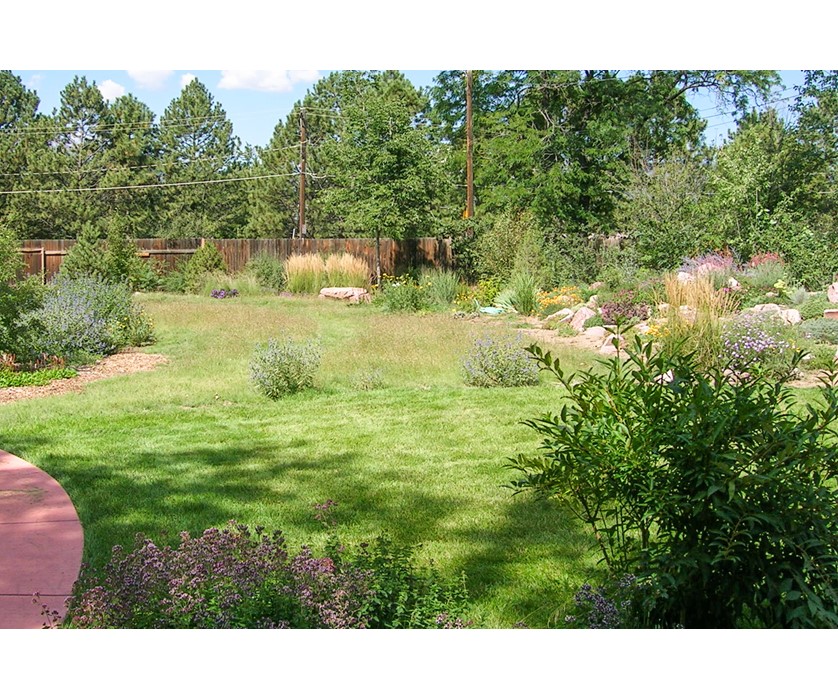 Inspired Native Grass Backyard